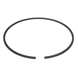 ZF 0501.320.252 Pierścień zabezpieczający 0501320252