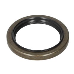 ZF 0734.310.387 Uszczelniacz manualnej skrzyni biegów 0734310387