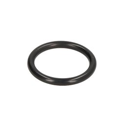 ZF 0634.303.312 Oring 0634303312