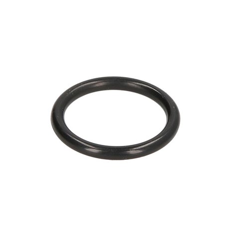 ZF 0634.303.312 Oring 0634303312