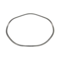 ZF 0501.325.499 Pierścień zabezpieczający 0501325499