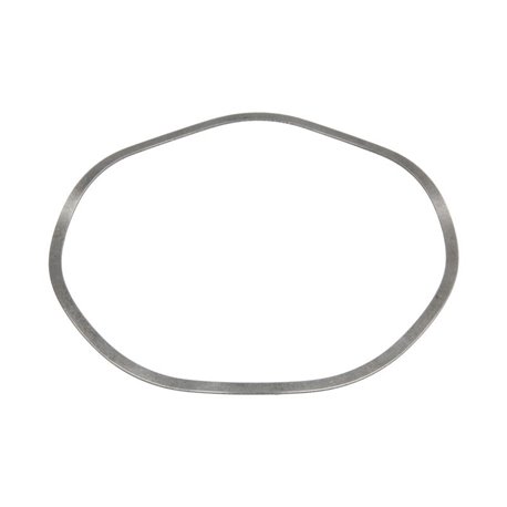 ZF 0501.325.499 Pierścień zabezpieczający 0501325499