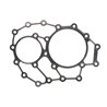 ZF 0501.328.636 Uszczelka skrzyni biegów 0501328636