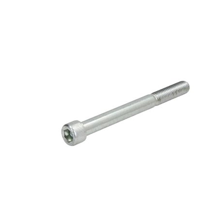 ZF 0636.102.426 Śruba automatycznej skrzyni biegów 0636102426