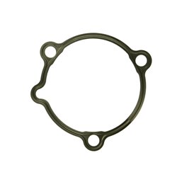 ZF 0501.322.778 Uszczelka skrzyni biegów 0501322778
