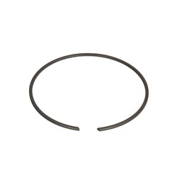 ZF 0730.513.595 Pierścień zabezpieczający 0730513595