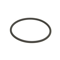 ZF 0634.313.029 Oring 0634313029