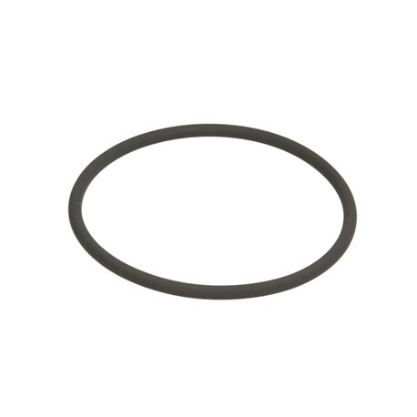 ZF 0634.313.029 Oring 0634313029