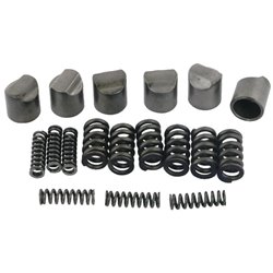 B&P 421340007R06 Krzywka ze sprężyną, do sprzęgła LN1-4 (6szt.) Bondioli Pavesi