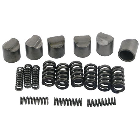 B&P 421340007R06 Krzywka ze sprężyną, do sprzęgła LN1-4 (6szt.) Bondioli Pavesi
