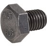 Śruba M12x16 8,8 V%C3%A4derstad 8716106977895