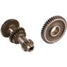 Primary axis Carraro 066924