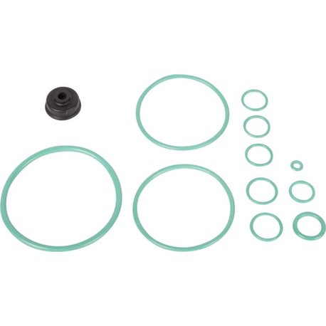 Zestaw naprawczy Carraro 046421