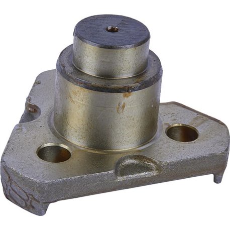 Stub axle pivot Carraro 123640