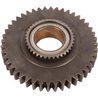 Koło zębate Z-44 Carraro 429724