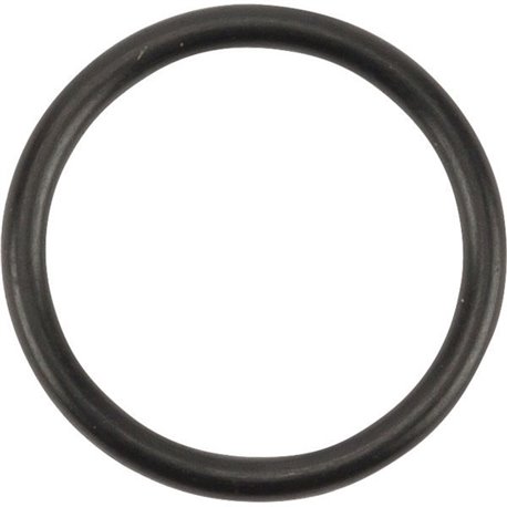 Oring 6005018612