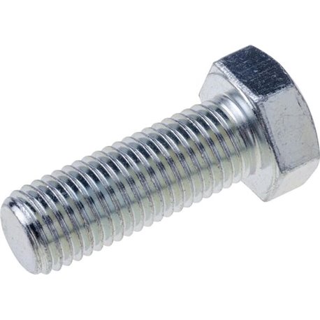 Horsch 00360163 Śruba M20x55