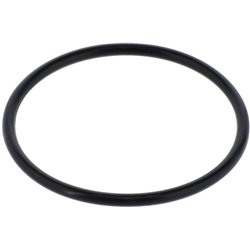 Seal F03010546R Gaspardo F03010546R