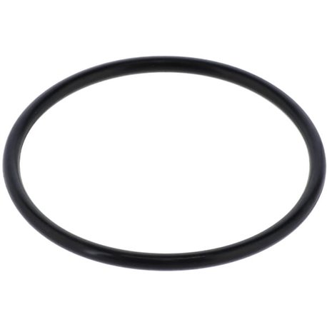Seal F03010546R Gaspardo F03010546R