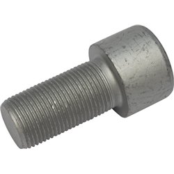 Śruba imbusowa kl. 10.9, M20 x 30110255 Lemken 30110255