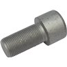 Śruba imbusowa kl. 10.9, M20 x 30110255 Lemken 30110255