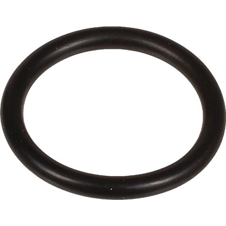 Oring 3 x 22 803218002 Bertolini 803218002