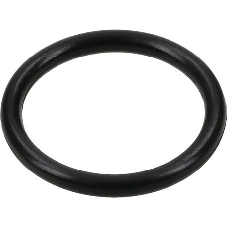 Dana Spicer 755.04.702.02 - Obudowa mechanizmu różnicowego 7550470202 Spicer Dana 2015-7550470202