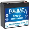 Akumulator 12V 24Ah 181x77x167 P+  llitowy 