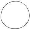 Oring  247,32 x 2,65 mm 