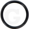 1210009300 Comet Oring 14x1,78