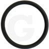 1210018000 Comet Oring fi 3 x 29 mm