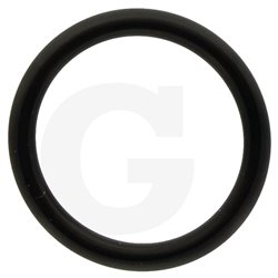 390180 Oring Annovi Reverberi