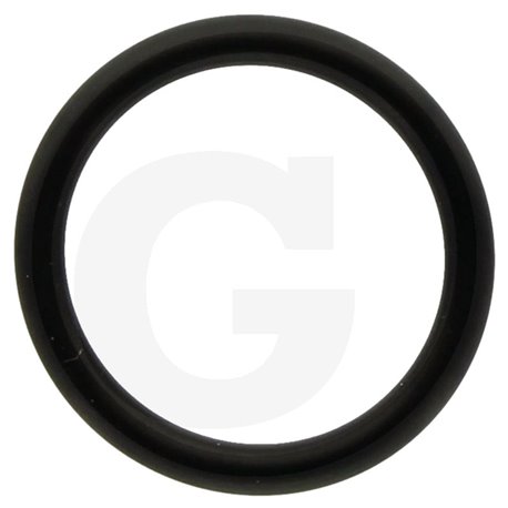 390180 Oring Annovi Reverberi