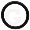 390180 Oring Annovi Reverberi