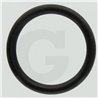 Hardi 240951 Oring