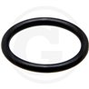 Hardi 241021 Oring