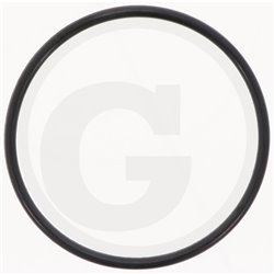 Hardi 241754 Oring