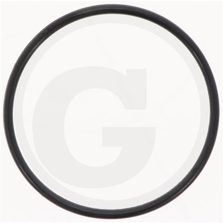 Hardi 241754 Oring