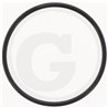 Hardi 241754 Oring