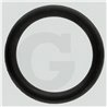 Hardi 241861 Oring