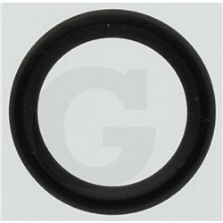 Hardi 241905 Oring