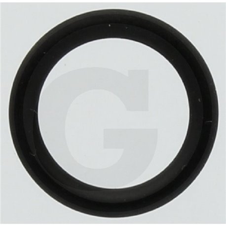 Hardi 241905 Oring