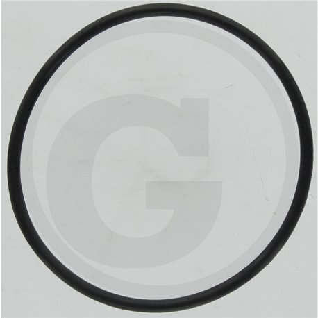 Hardi 241978 Oring