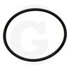 Hardi 242005 Oring