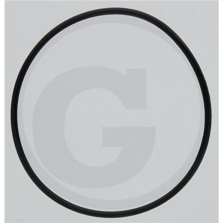 Hardi 242046 Oring