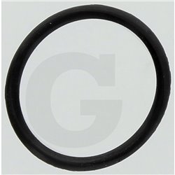 Hardi 242463 Oring