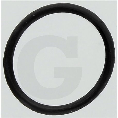 Hardi 242463 Oring