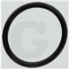 Hardi 242463 Oring