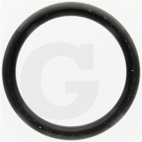 Hardi 24263000 Oring 24,4x3,1 SH70