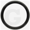 Oring 24,4x3,1 SH70